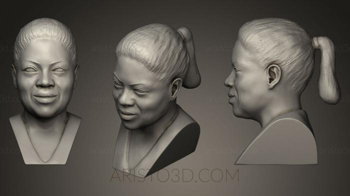 Busts and bas-reliefs of famous people (BUSTC_0480) 3D model for CNC machine